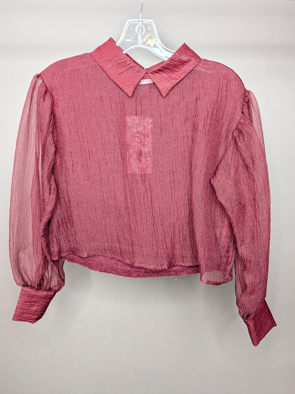 Zara Rose Sheer Puff-Sleeve Blouse NWT